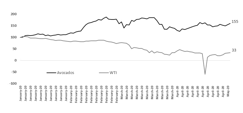 Avocados vs. WTI during the COVID 19 crisis